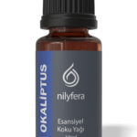Okaliptüs Koku Yağı 10 ml – Nilyfera