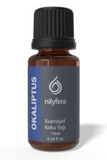 Okaliptüs Koku Yağı 10 ml – Nilyfera