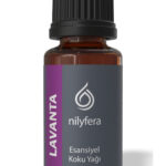 Lavanta Koku Yağı 10 ml – Nilyfera