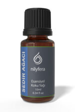 Sedir Ağacı Koku Yağı 10 ml – Nilyfera
