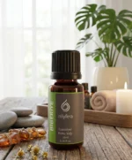 Biberiye Koku Yağı 10 ml – Nilyfera