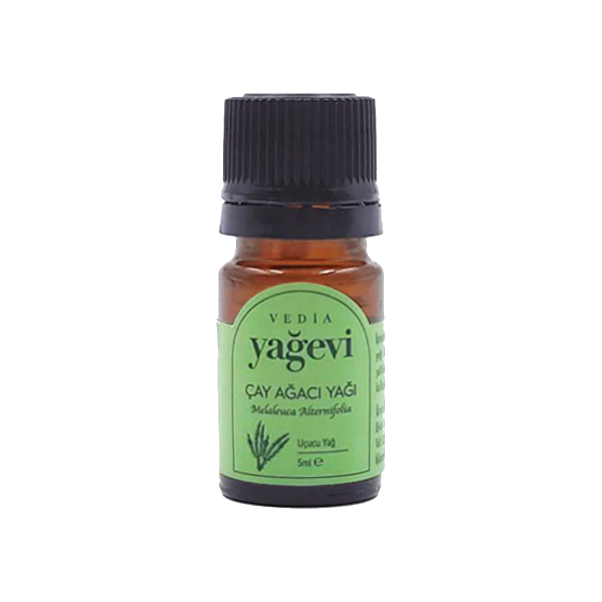 cay-agaci-5ml Yağevi Çay Ağacı Uçucu Yağı 5 ml